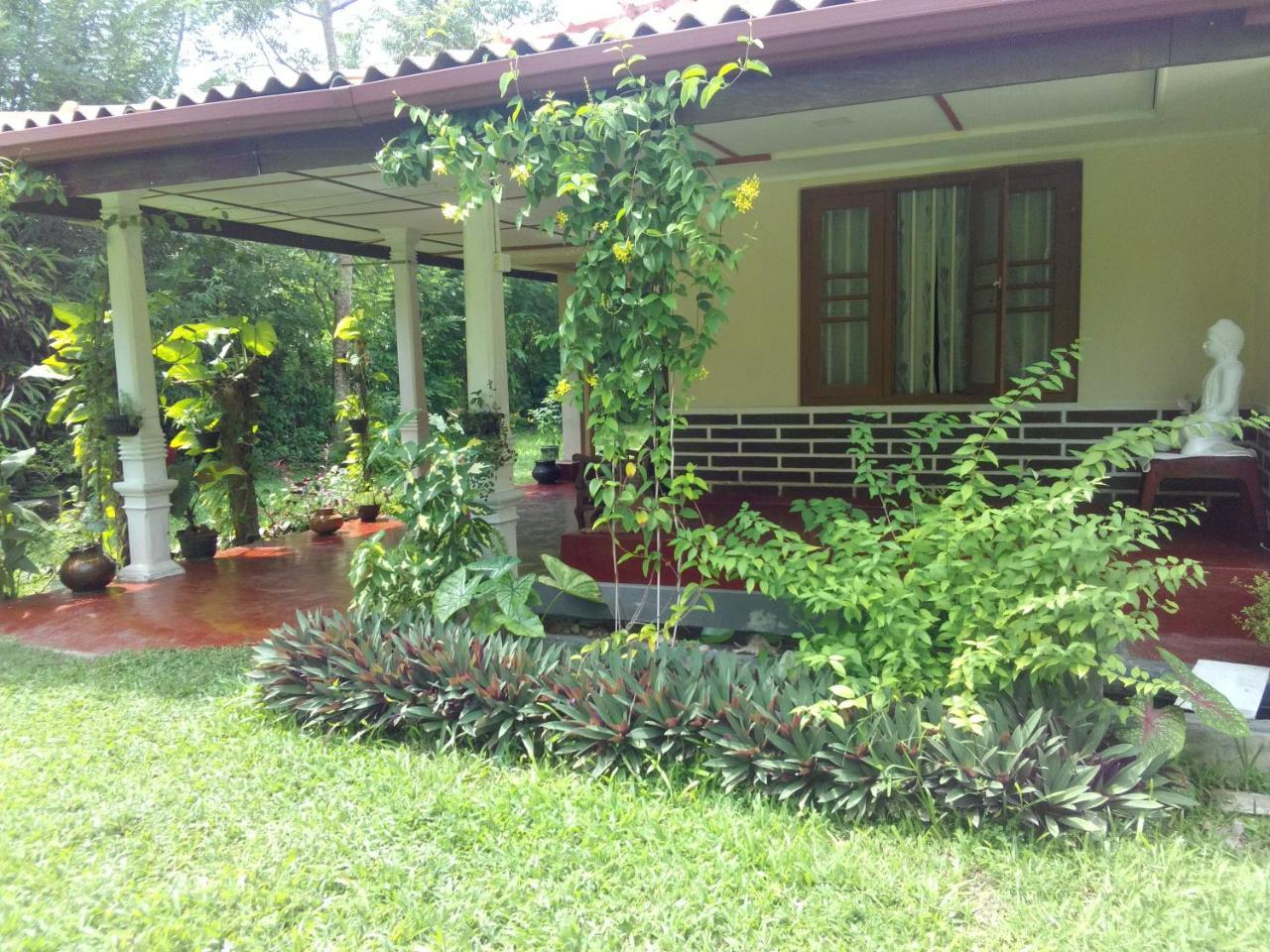 Dreams Garden Surf Lodge Midigama Exterior photo