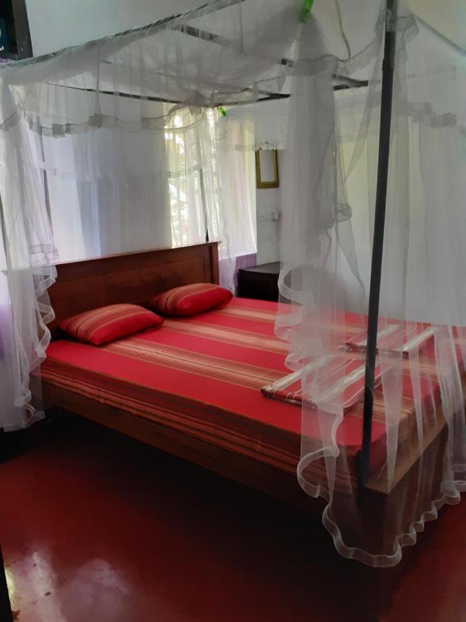Dreams Garden Surf Lodge Midigama Exterior photo