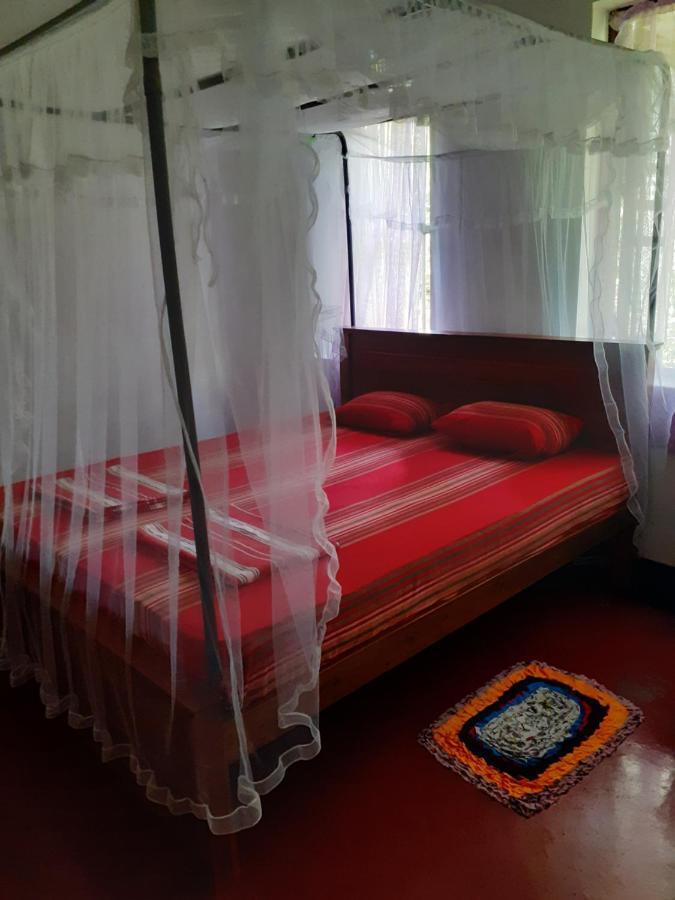 Dreams Garden Surf Lodge Midigama Exterior photo
